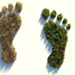Ökologischer Fußabdruck